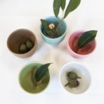 Latte Cup Set of 5